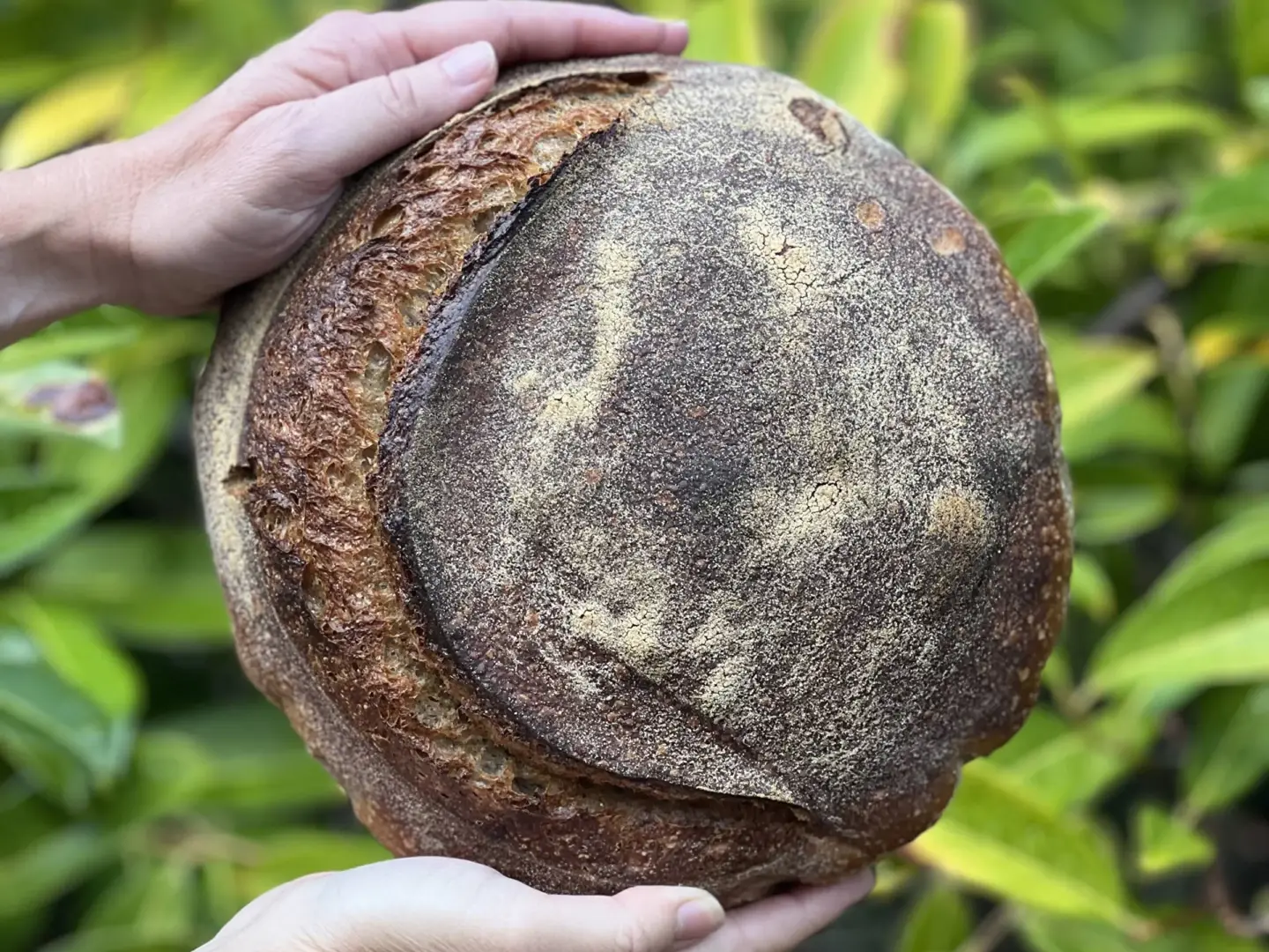 Artisan sourdough