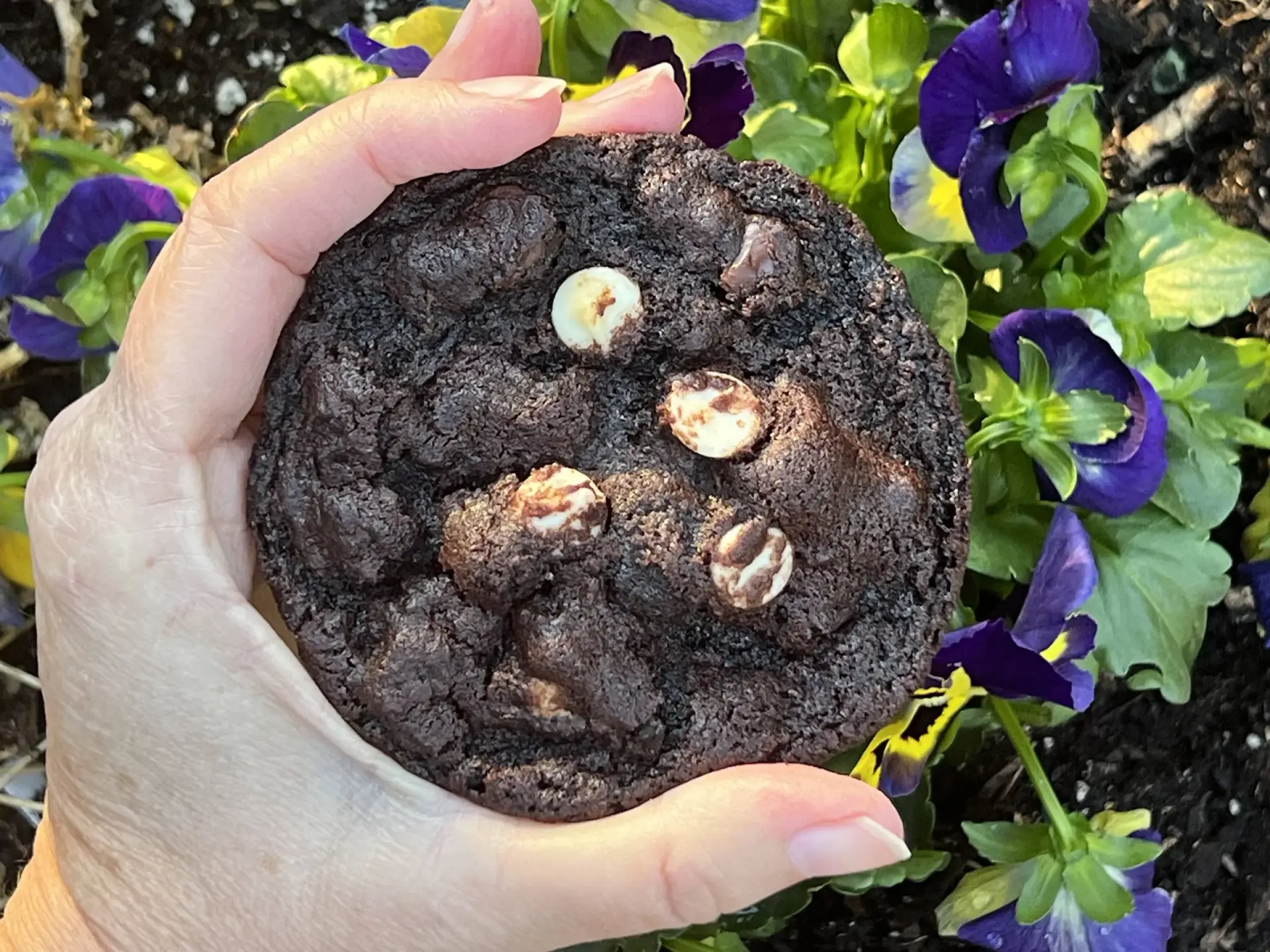 Chocolate chip cookies